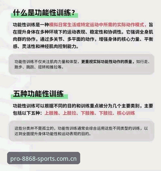 8868体育官方工具功能深度解析：从数据到体验的全面剖析
